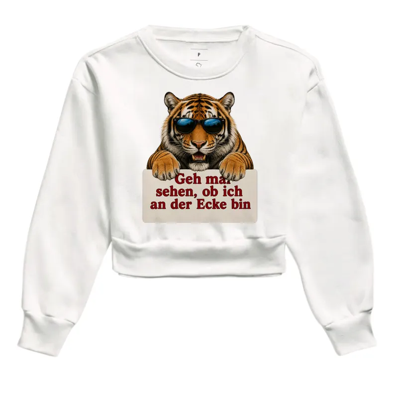 Tigre Sarcástico - Imagem 3