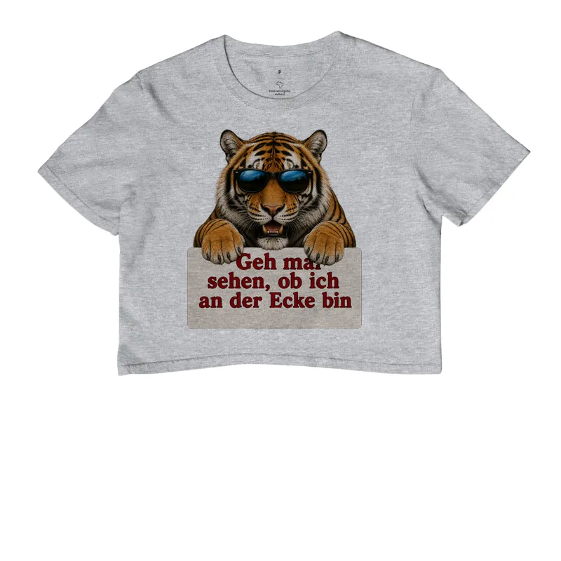 Tigre Sarcástico - Imagem 6