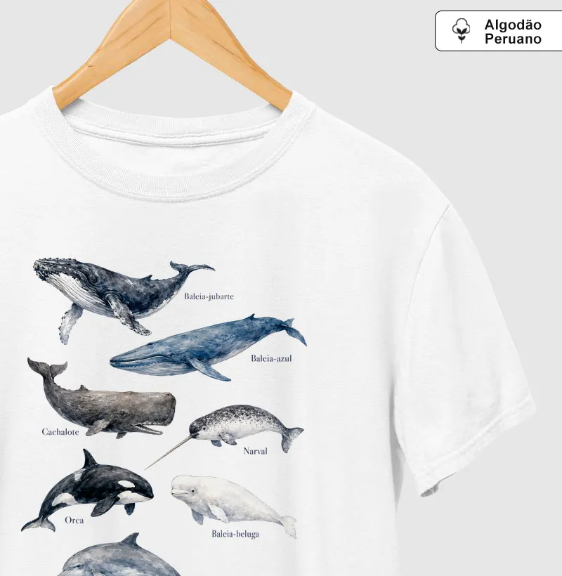 Tipos de Baleia