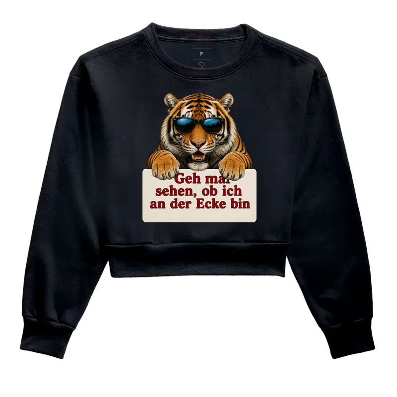 Tigre Sarcástico - Imagem 2