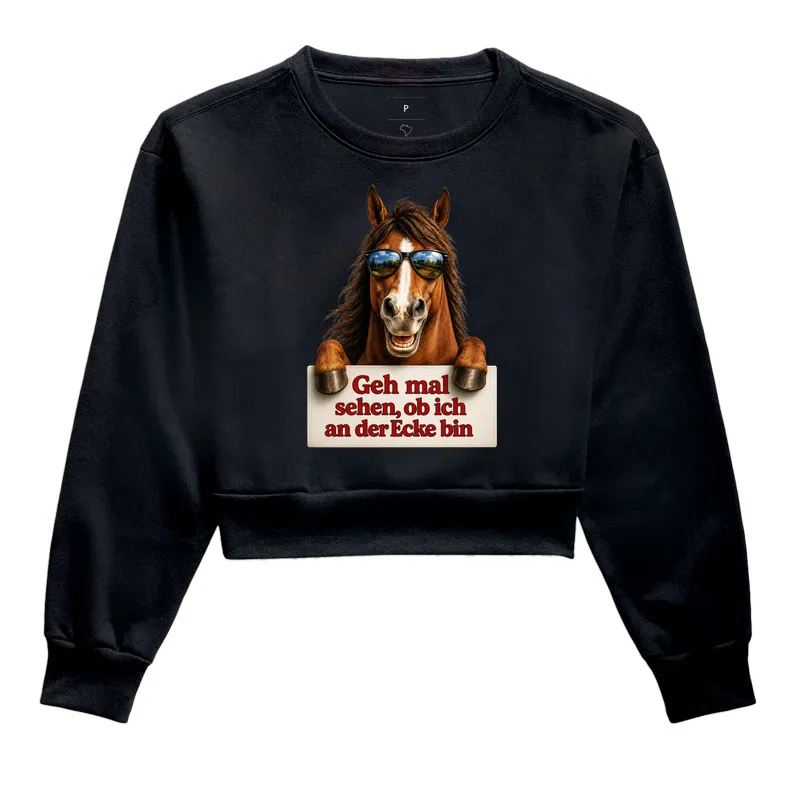 Cavalo Sarcástico - Imagem 2