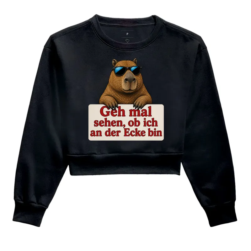 Capivara Sarcástica - Imagem 2
