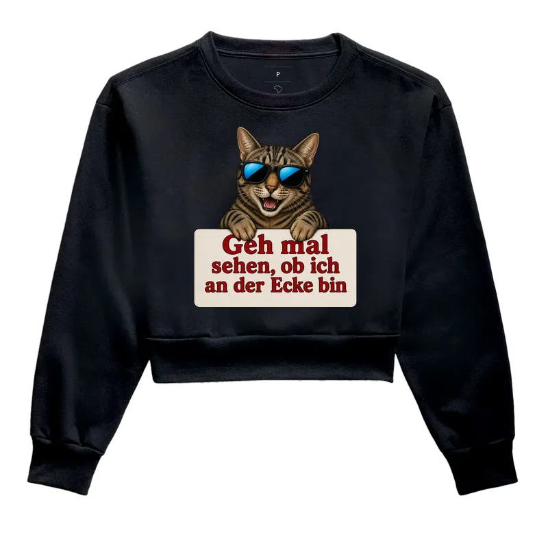 Gato Sarcástico - Imagem 2
