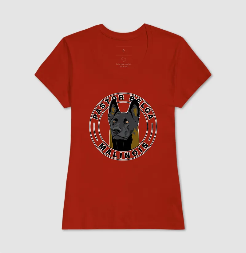 Pastor Belga Malinois 01 - Imagem 13