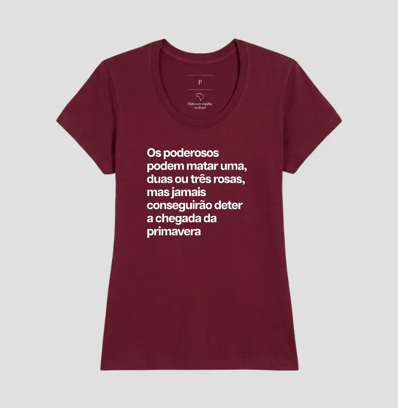 Primavera - Imagem 11
