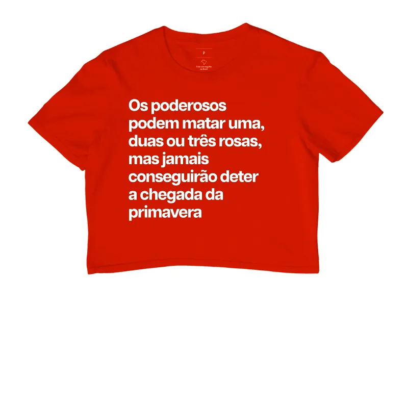 Primavera - Imagem 7