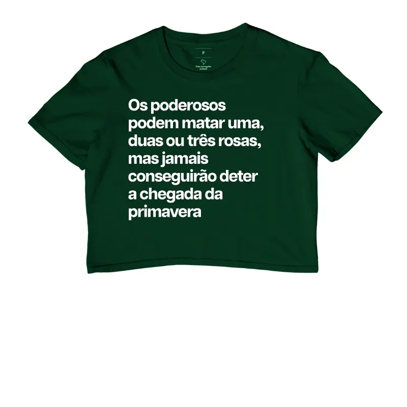 Primavera - Imagem 5