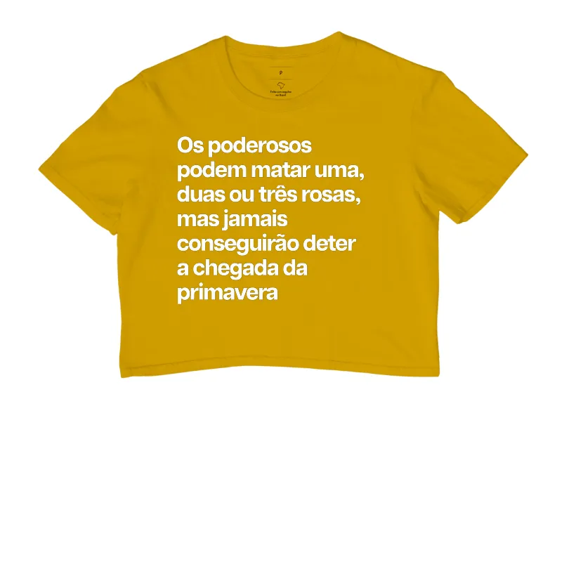Primavera - Imagem 8