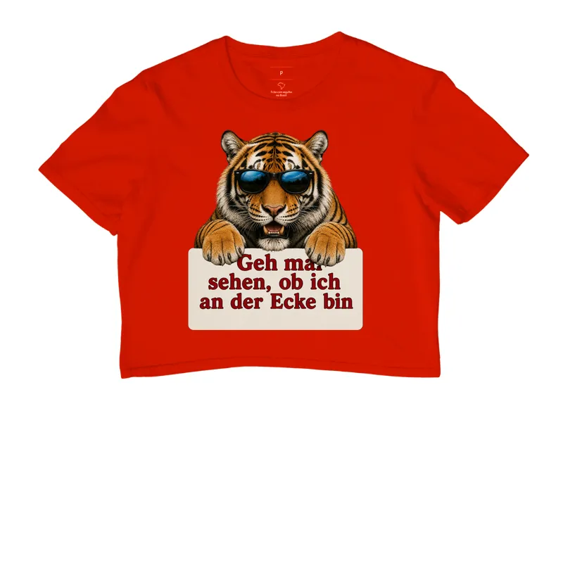 Tigre Sarcástico - Imagem 7