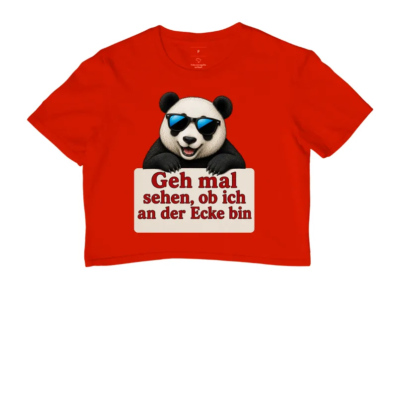 Urso Sarcástico - Imagem 7