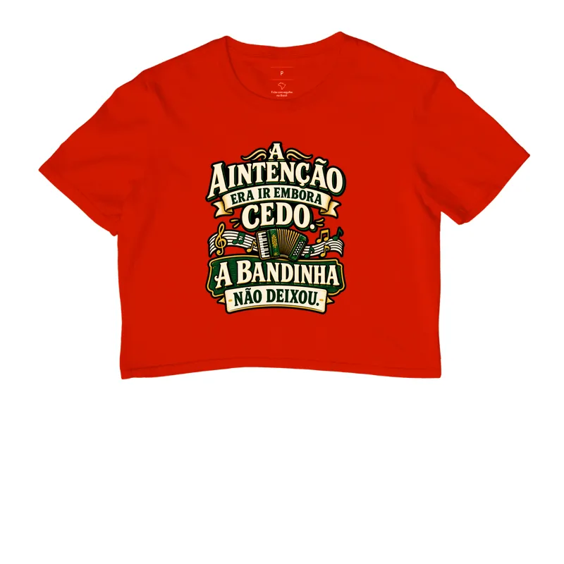 A Bandinha Não Deixou - Imagem 7