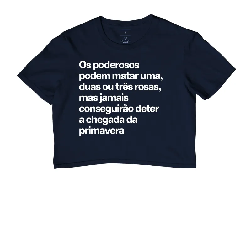 Primavera - Imagem 4