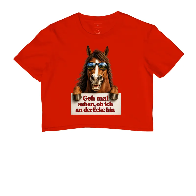 Cavalo Sarcástico - Imagem 7