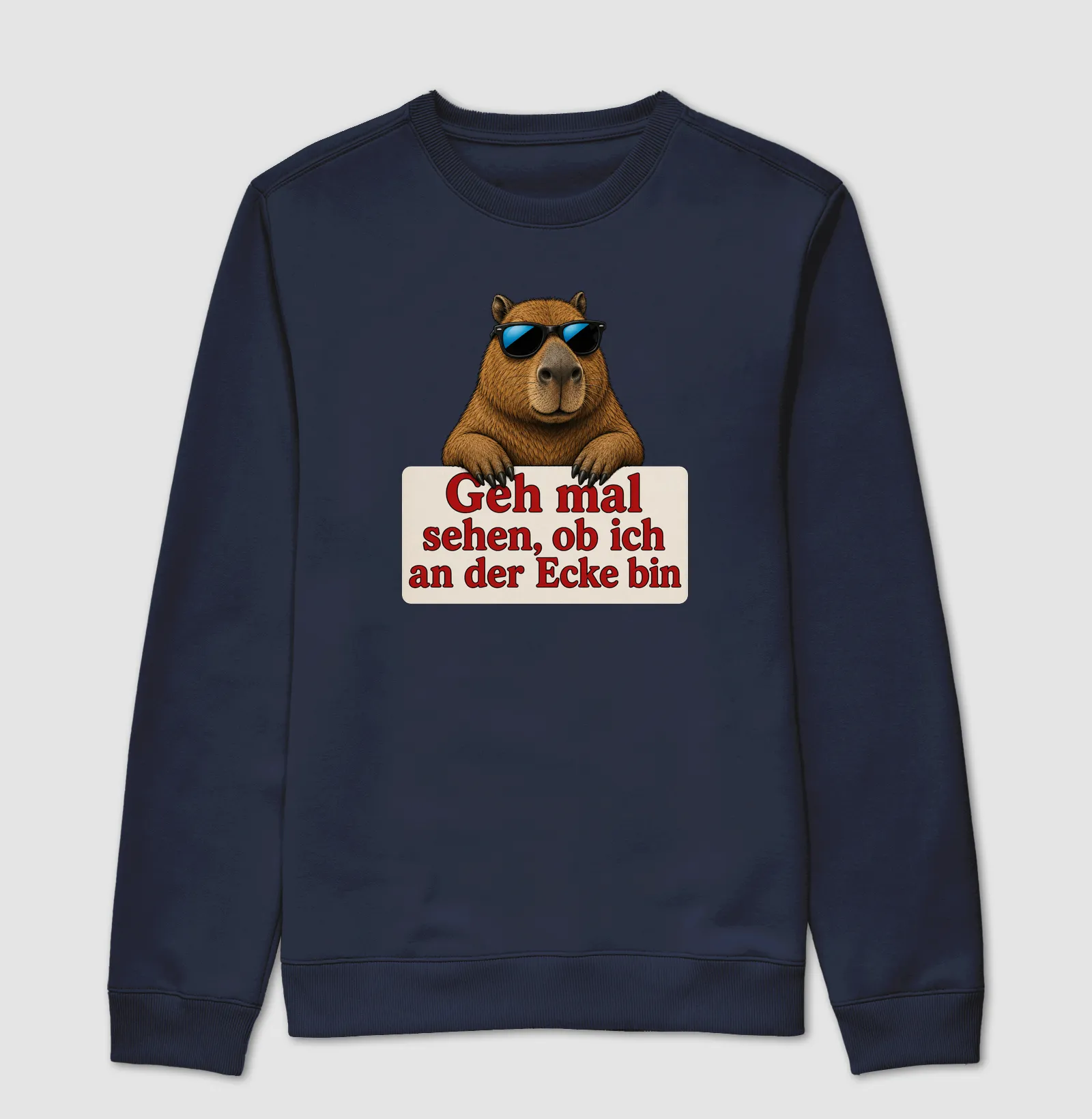 Capivara Sarcástica - Imagem 5