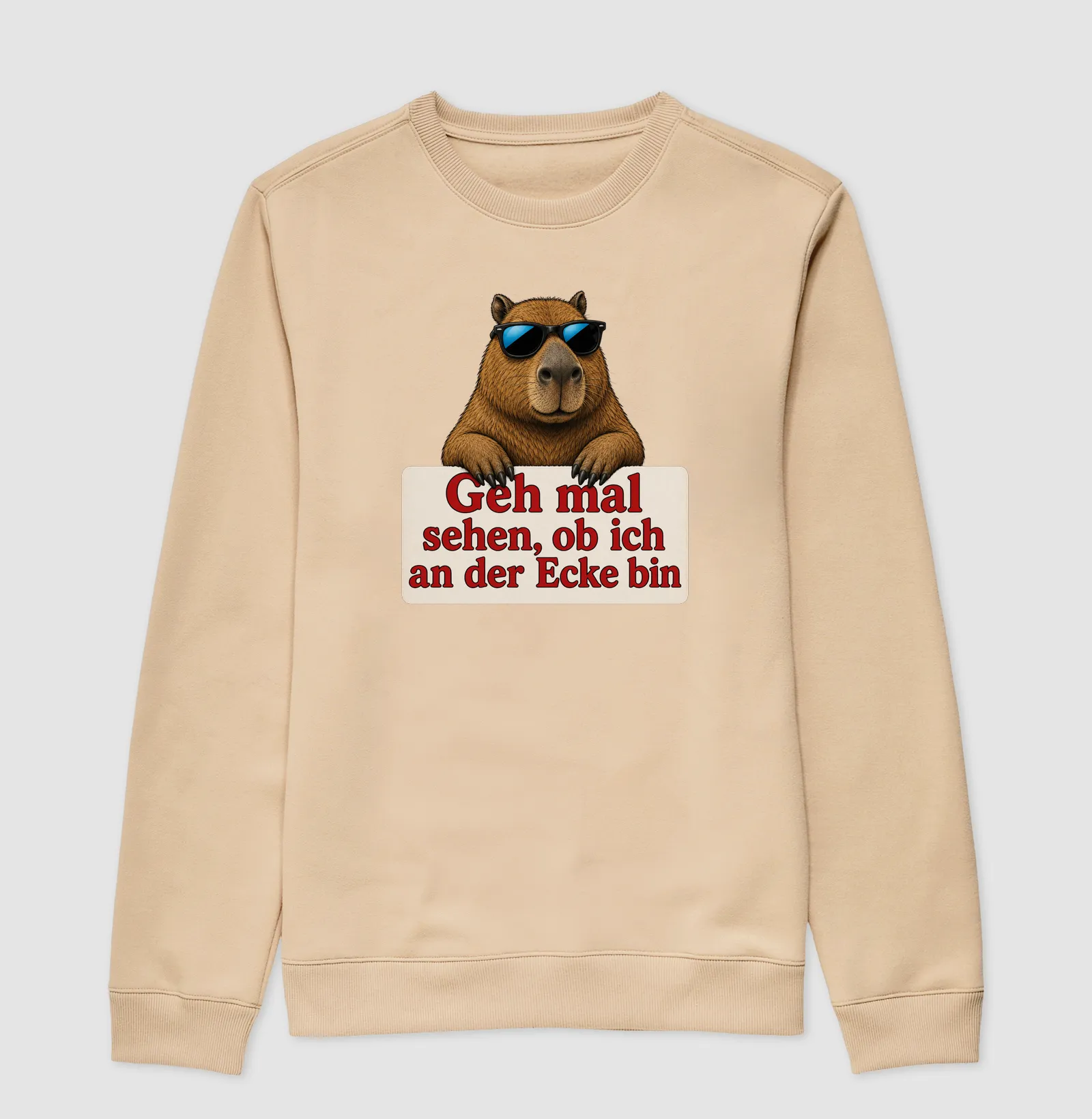 Capivara Sarcástica - Imagem 3