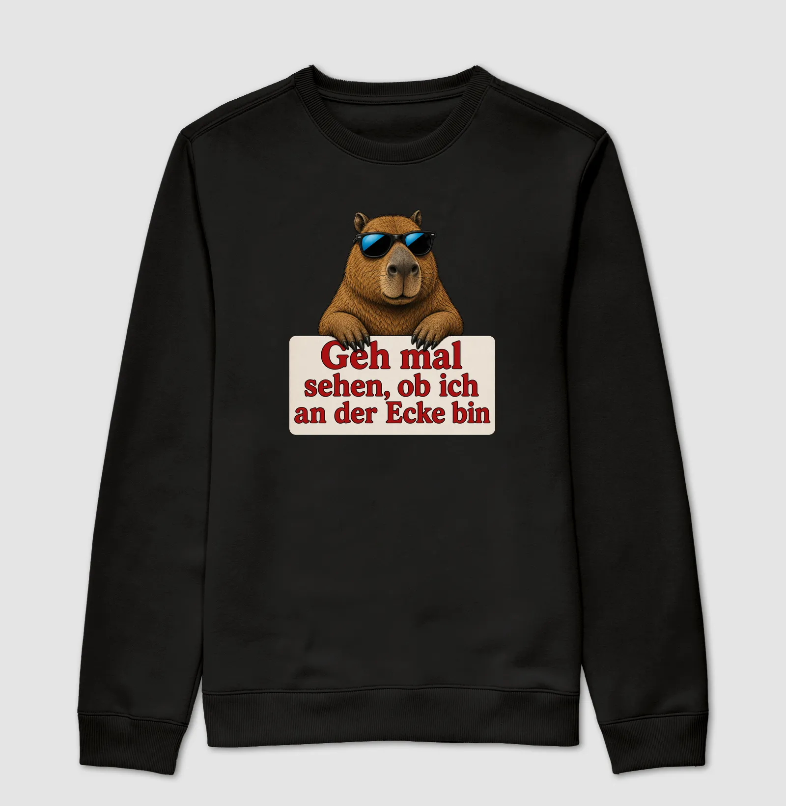 Capivara Sarcástica - Imagem 4