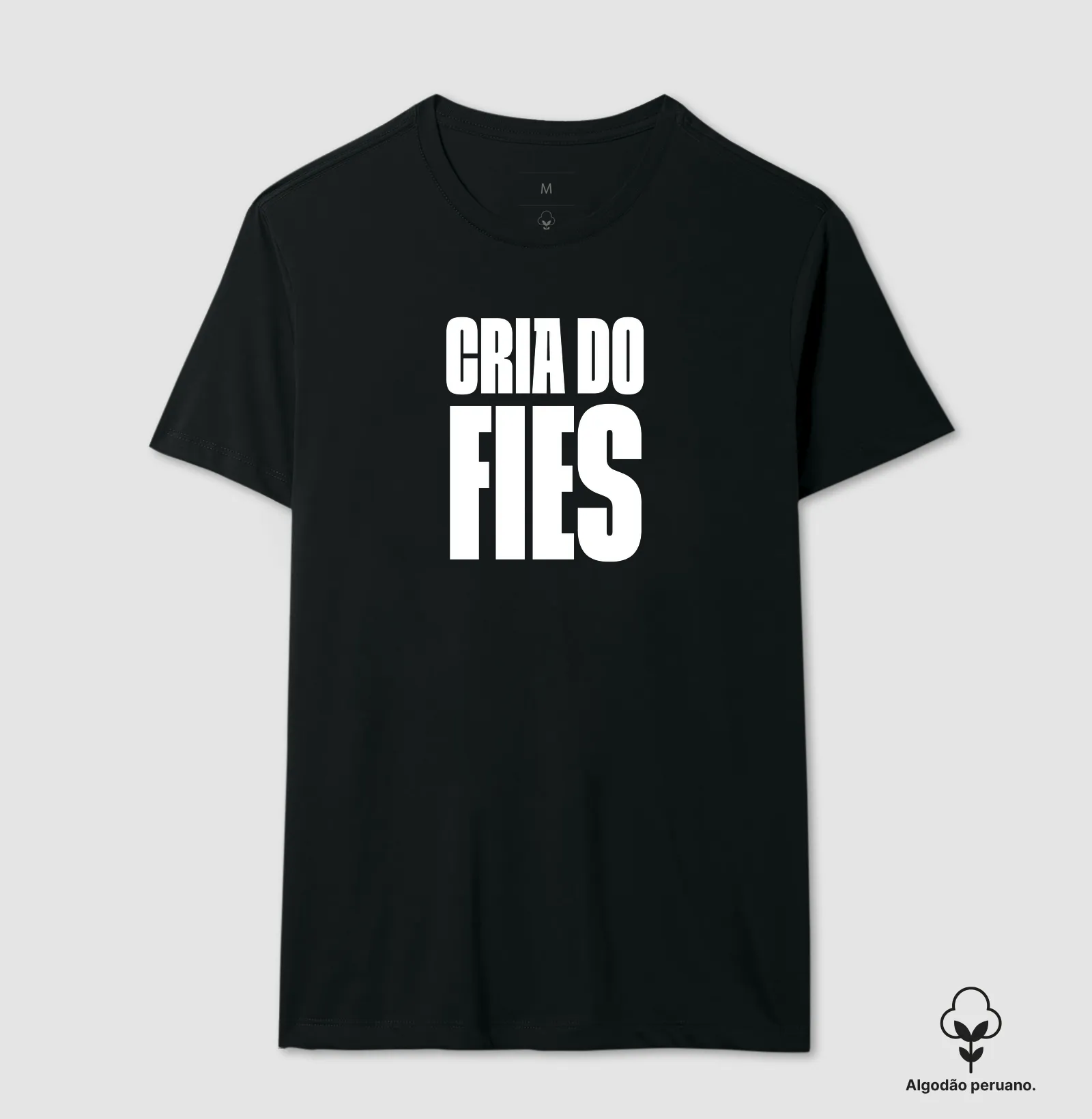 Cria do FIES - Imagem 4